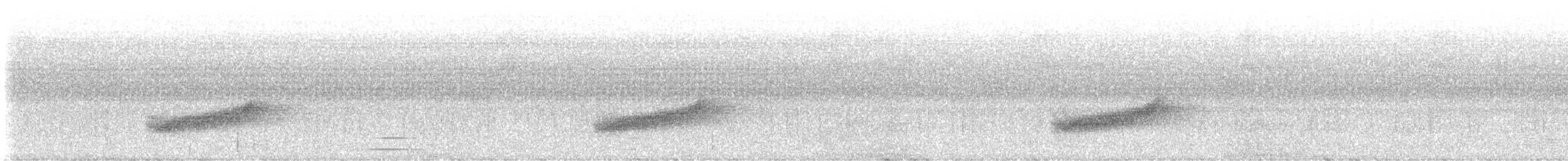 Long-tailed Koel - ML629778629