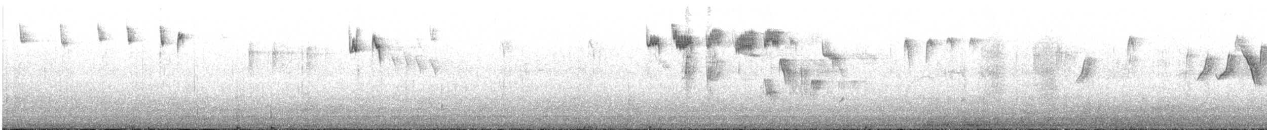 キクイタダキ（regulus グループ） - ML629779574
