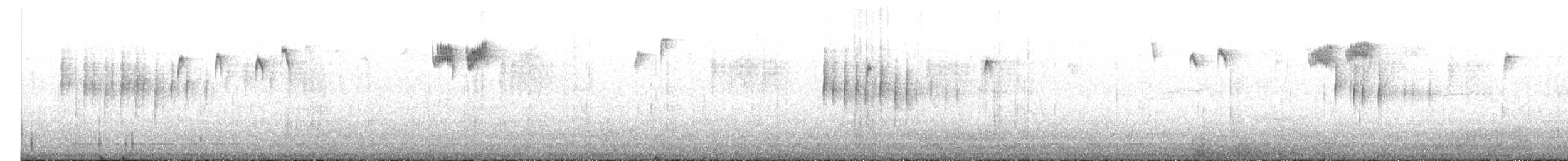 キクイタダキ（regulus グループ） - ML629779575