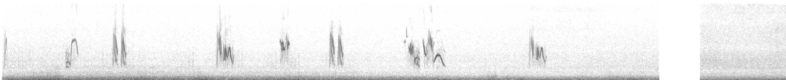Hellmayr's Pipit - ML629779645