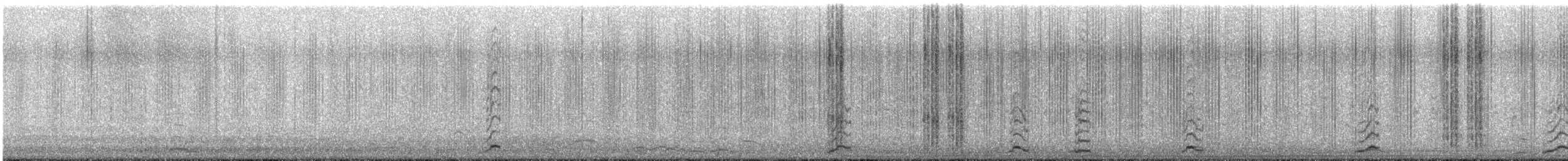 コハクチョウ（亜種 アメリカコハクチョウ） - ML629784266