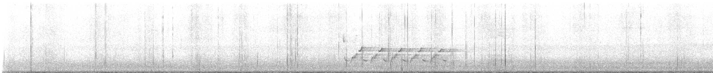 Carolina Wren - ML629785066