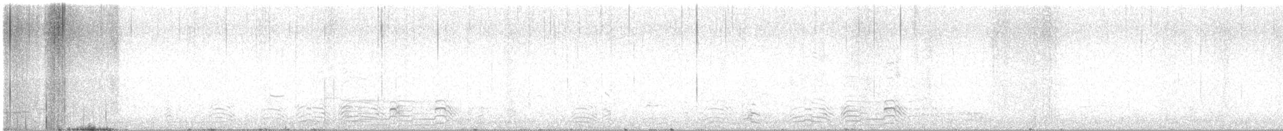 Long-tailed Duck - ML629787982