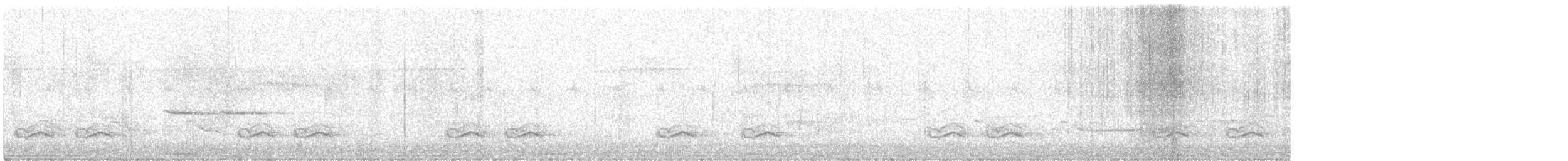 Yellow-browed Camaroptera - ML629789742