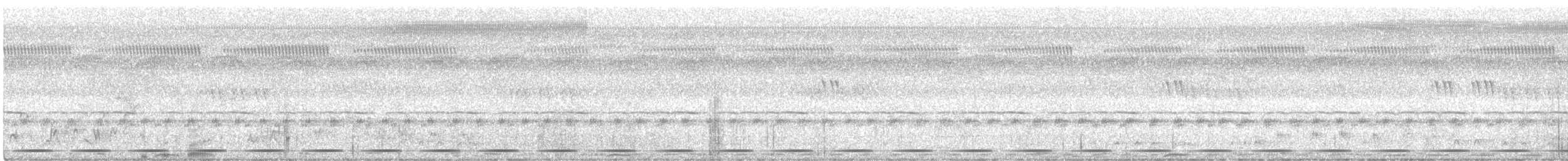 Lowland Sooty Boubou - ML629791001