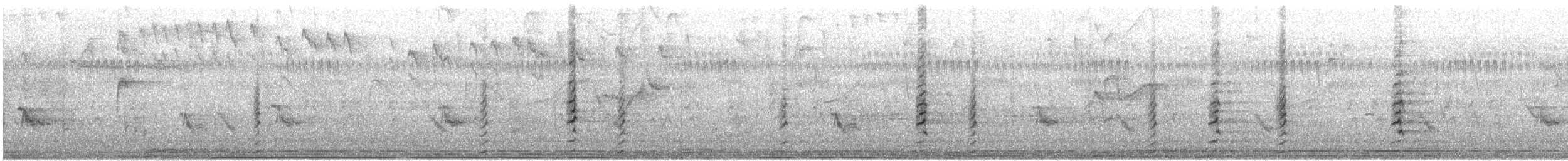 Hamerkop - ML629794077