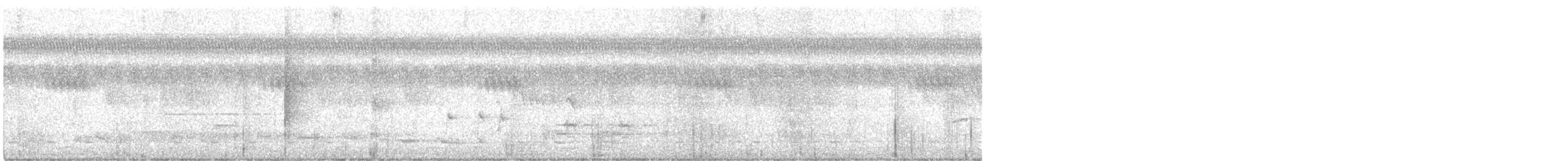 Gray-headed Bristlebill