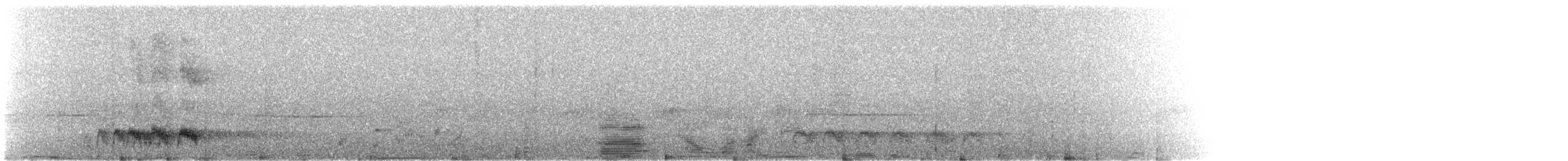 Grammatoptile strié - ML629795423