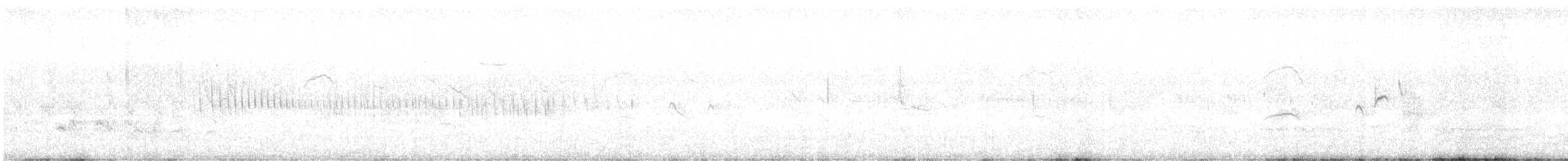 Bearded Tachuri - ML629795843