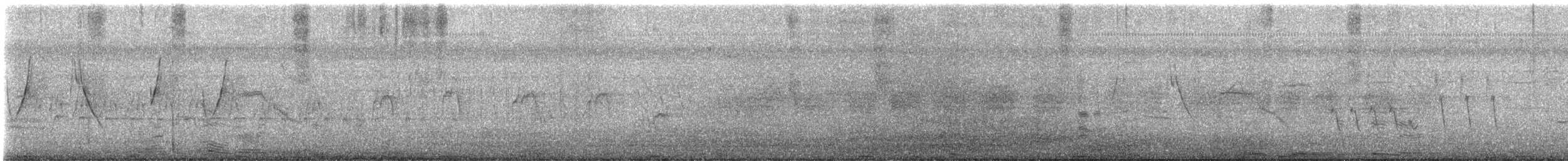 Chipiu noiroux - ML629796282