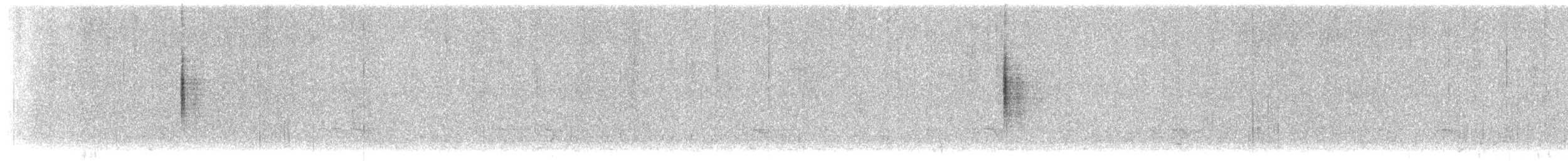 Belding's Yellowthroat - ML629797074