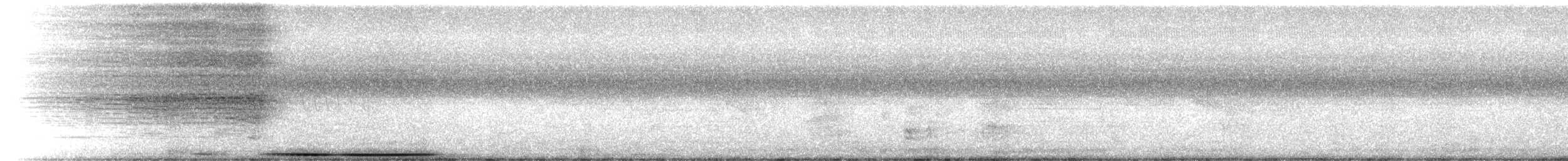 White-tipped Dove - ML629798895