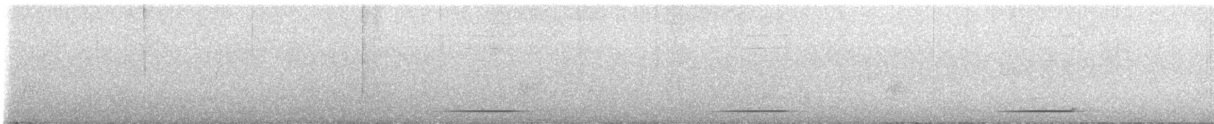 Gladiador Cabecigrís - ML629803581