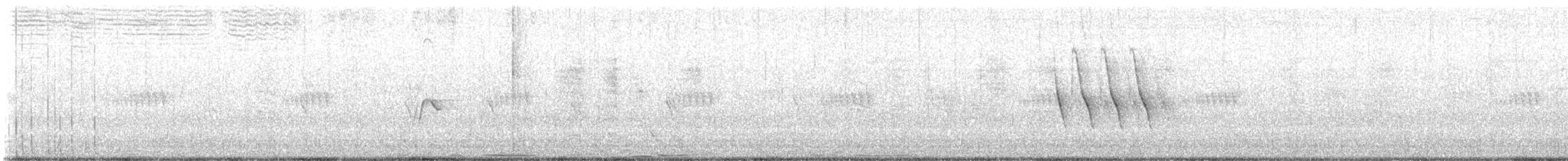 African Pied Wagtail - ML629803632