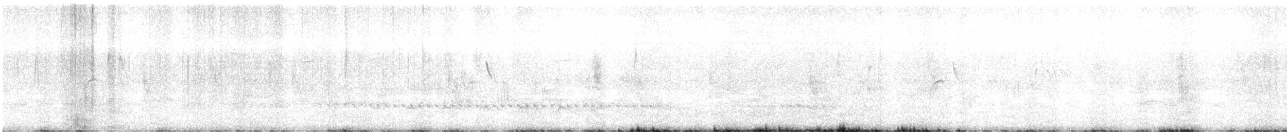 Bearded Tachuri - ML629806133