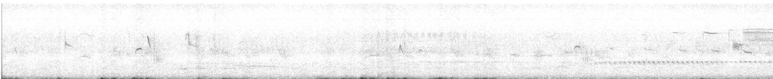 Bearded Tachuri - ML629806275