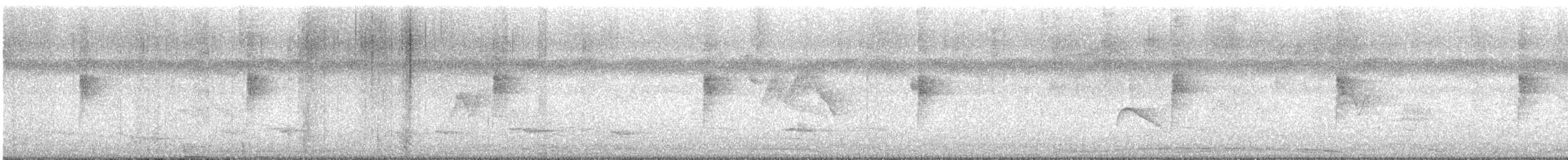 Northern Waterthrush - ML629810929