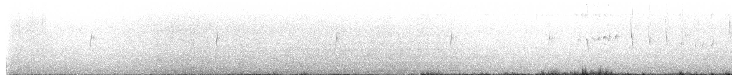Gray-flanked Cinclodes - ML629812762