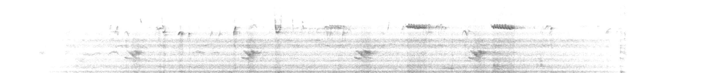 Brown Creeper - ML629813381