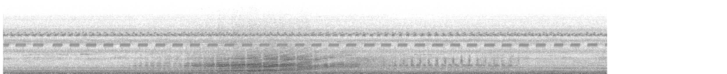 Pantanal Snipe - ML629814488