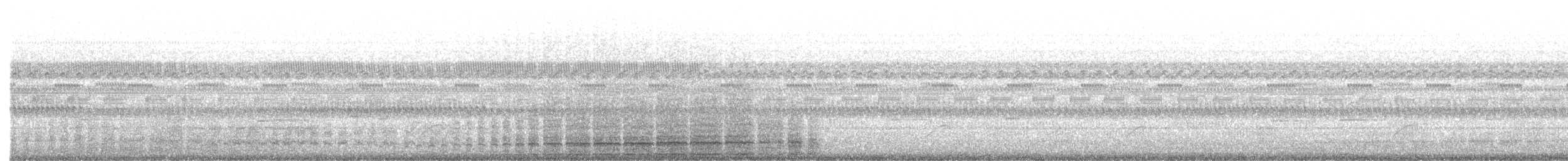 Pantanal Snipe - ML629814492