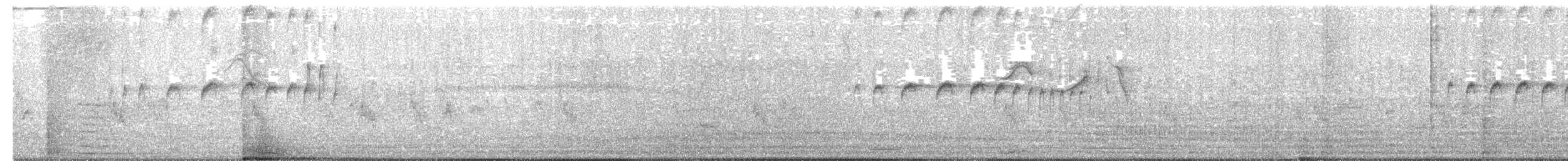 Курутія білоброва - ML629816265