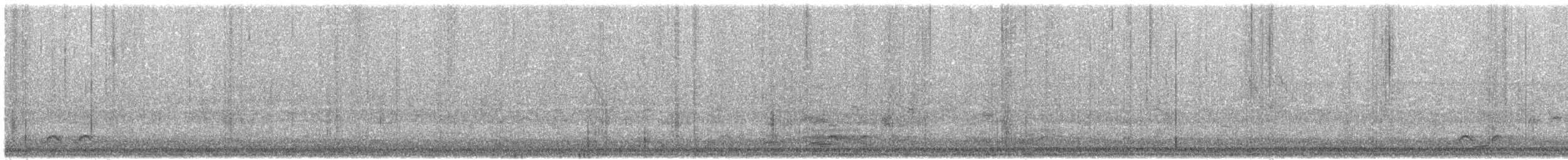 Gray-sided Scimitar-Babbler - ML629816886