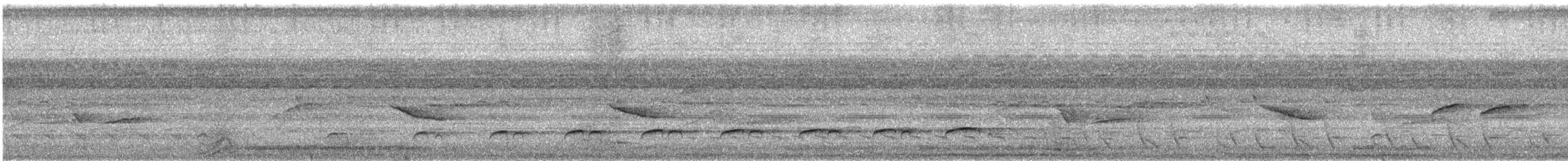 Bright-rumped Attila (Southern) - ML629823006