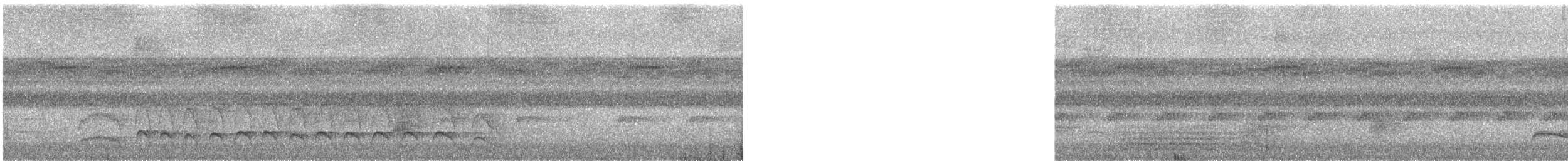 Black-tailed Tityra - ML629825687