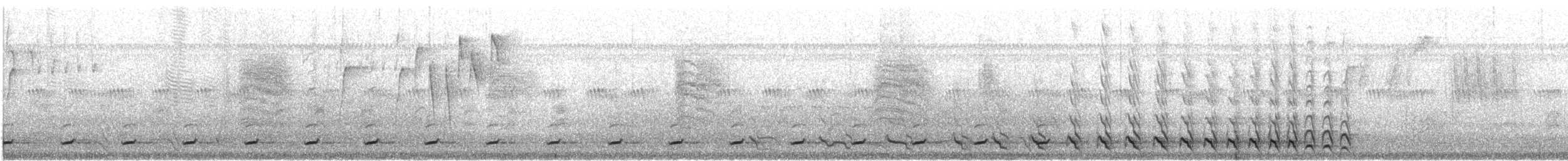 Trogon citrin - ML629839301