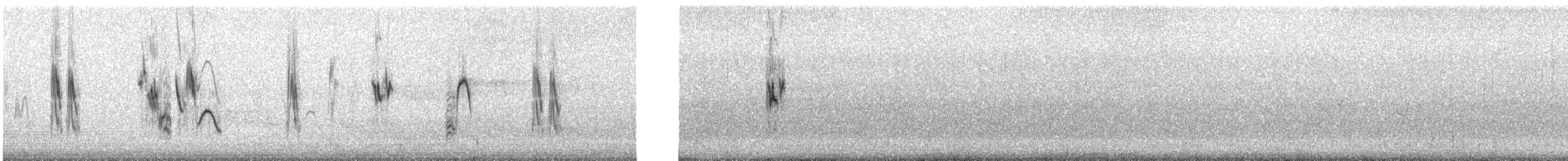 Hellmayr's Pipit - ML629843864