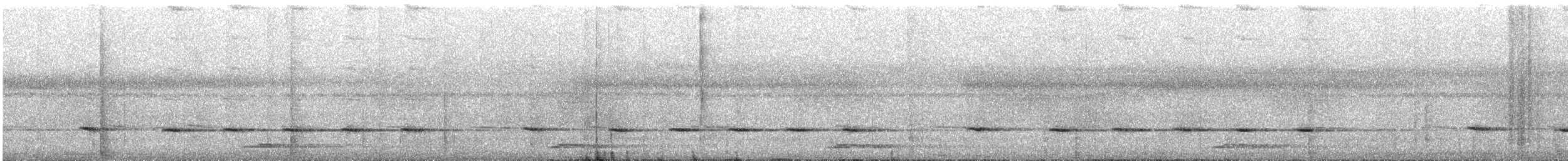 Gray-headed Robin - ML629852937