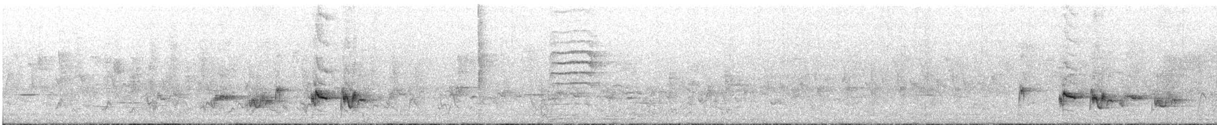 Common Bulbul (Dark-capped)