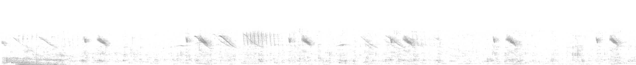 White-browed Tapaculo - ML629858356