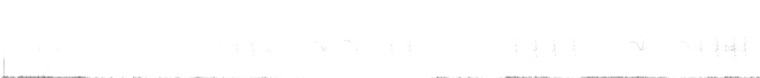 Grass Wren - ML629858498