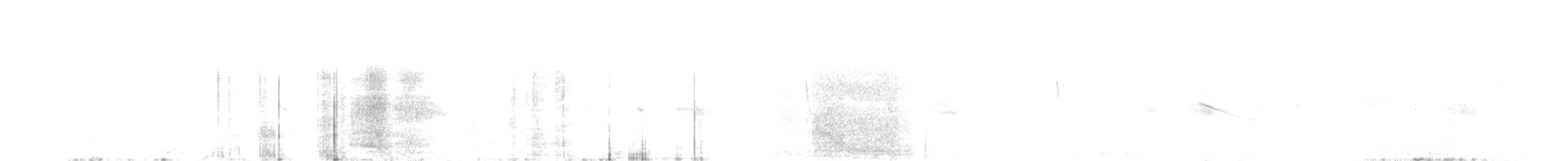 White-browed Tapaculo - ML629858522