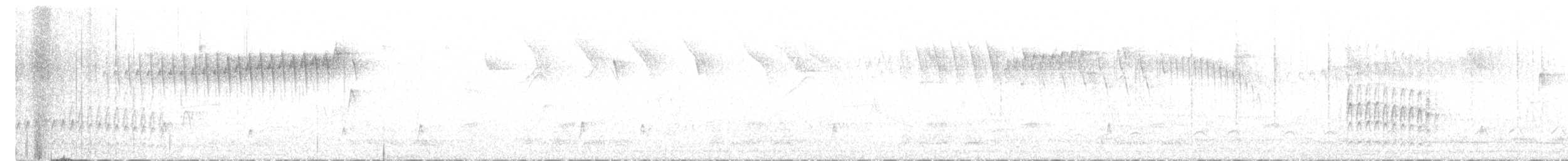 Tyranneau suiriri - ML629858650