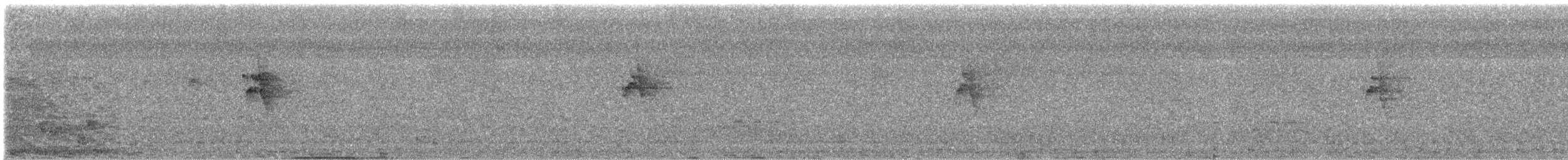 עלווית בלטית - ML629861245