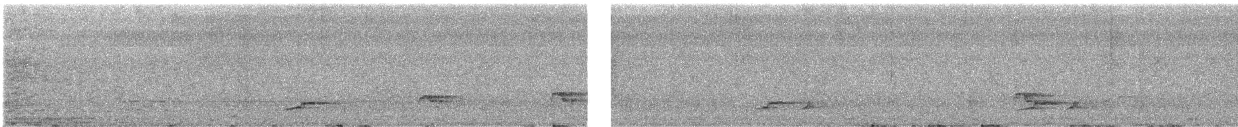 ציפור שיר בלתי-מזוהה - ML629861273