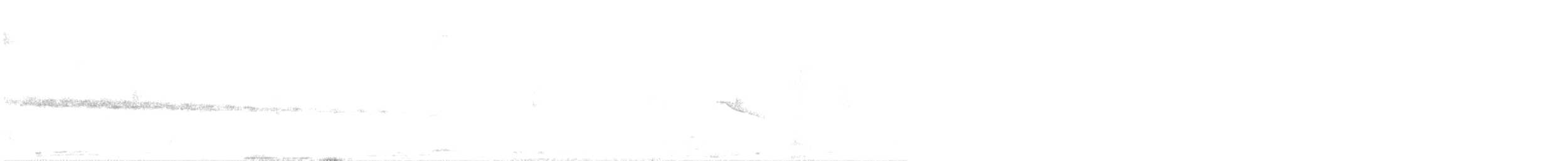 Большеногий тохи - ML629862527