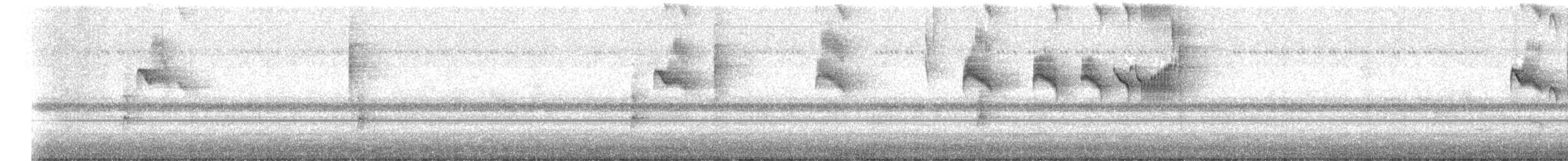 Variegated Flycatcher - ML629865054