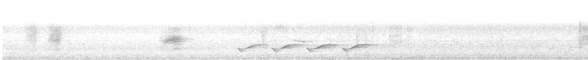 ビロードヒラハシ - ML629888742