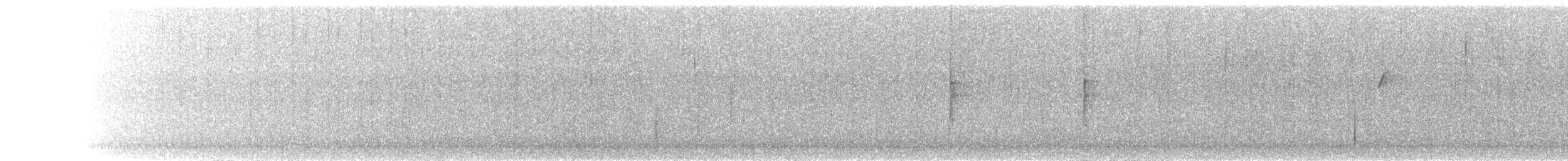 Yellow-rumped Warbler - ML629893156