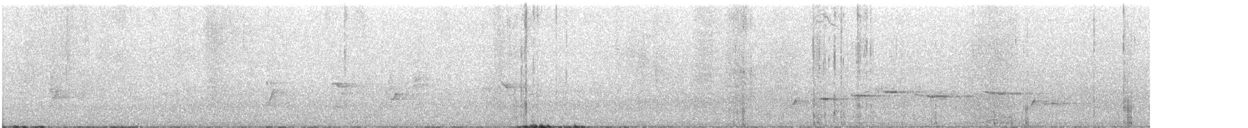 White-browed Fantail - ML629900068