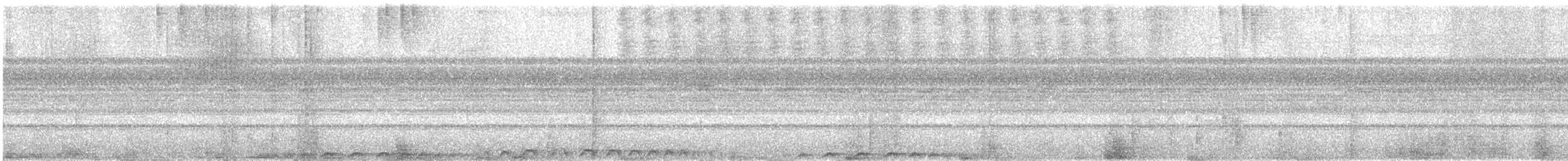 Band-bellied Owl - ML629901456