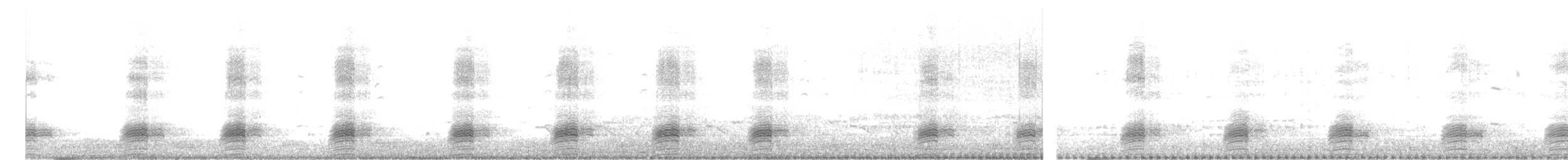 Indian Spot-billed Duck - ML629905855