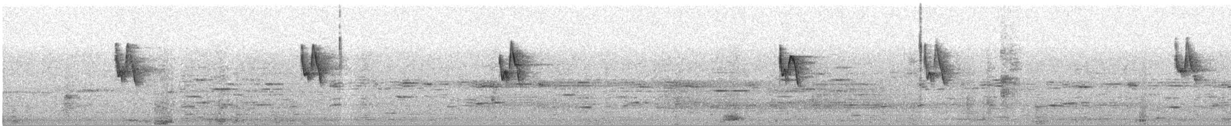 עלווית בלטית - ML629908035