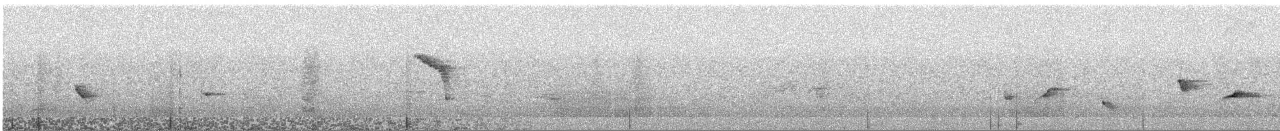 ציפור שיר בלתי-מזוהה - ML629908126