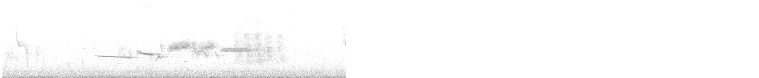 White-crowned Sparrow - ML629908298