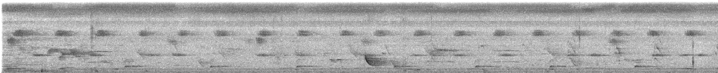 Black-hooded Oriole - ML629908528